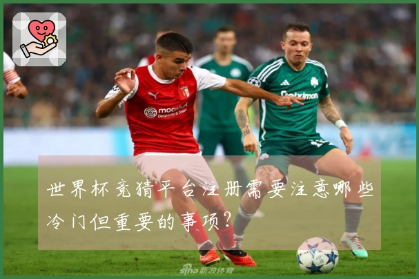 世界杯竞猜平台注册需要注意哪些冷门但重要的事项？
