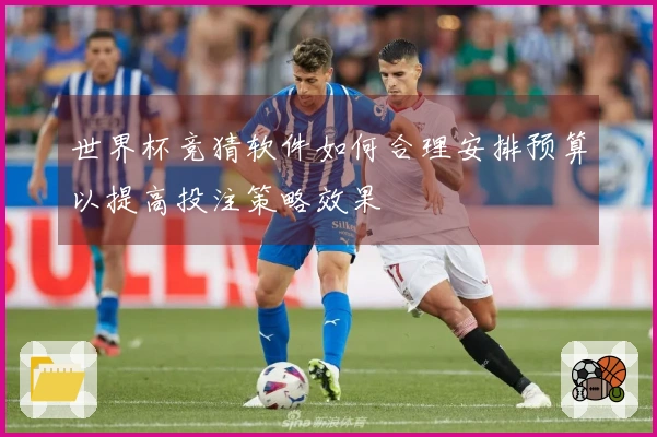 世界杯竞猜软件如何合理安排预算以提高投注策略效果