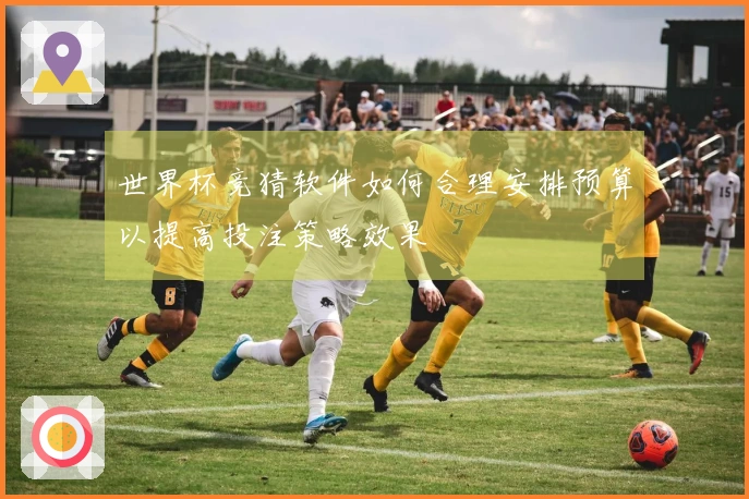 世界杯竞猜软件如何合理安排预算以提高投注策略效果